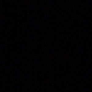 Meet your Posher, Laney